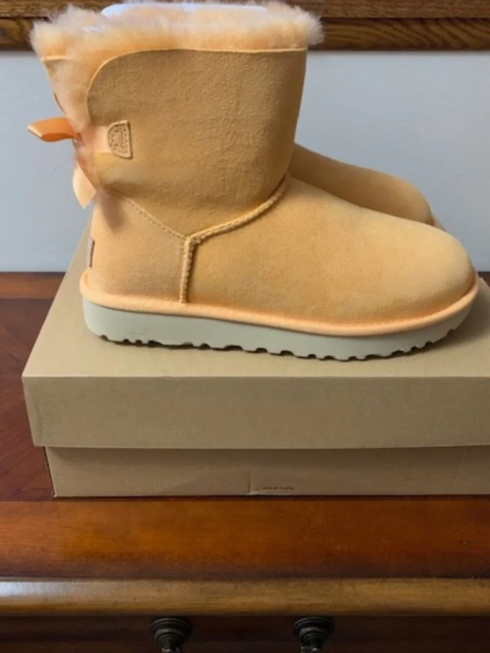 NIB UGG Boots